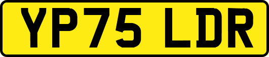YP75LDR