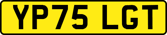 YP75LGT