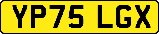 YP75LGX