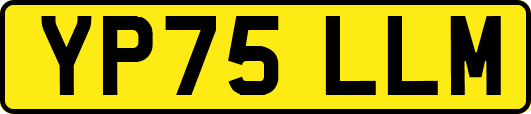 YP75LLM