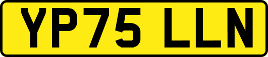 YP75LLN