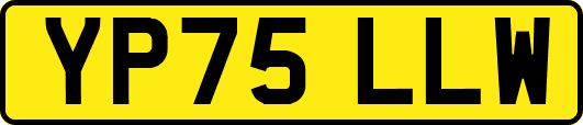 YP75LLW