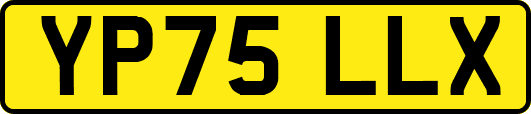 YP75LLX