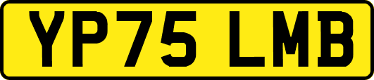 YP75LMB