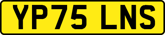 YP75LNS