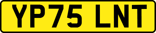YP75LNT