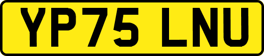 YP75LNU