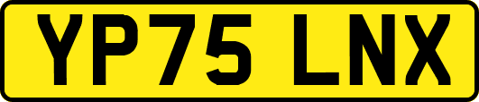 YP75LNX