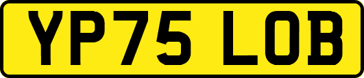 YP75LOB