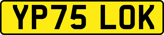 YP75LOK
