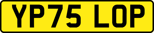 YP75LOP
