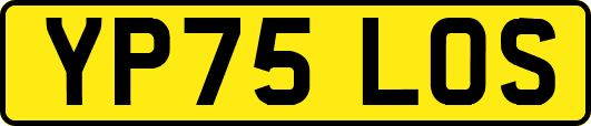 YP75LOS