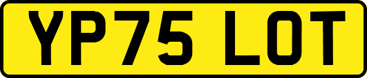 YP75LOT