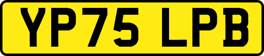 YP75LPB