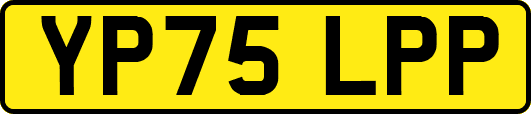 YP75LPP