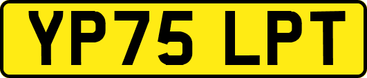 YP75LPT