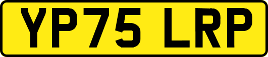 YP75LRP