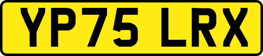 YP75LRX