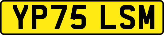 YP75LSM