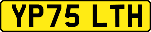 YP75LTH