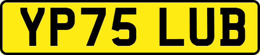 YP75LUB