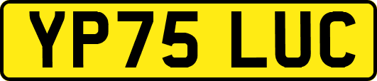 YP75LUC