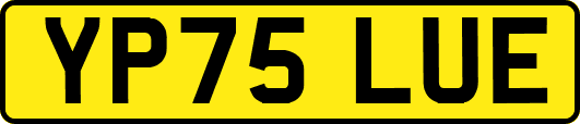 YP75LUE