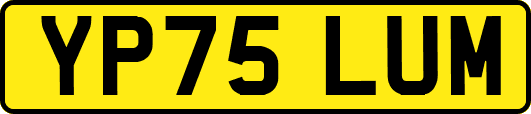 YP75LUM