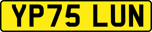 YP75LUN