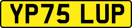 YP75LUP