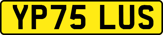 YP75LUS