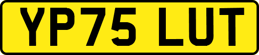 YP75LUT