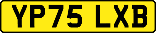 YP75LXB