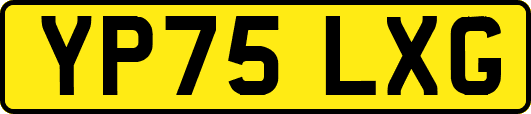YP75LXG
