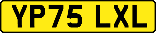 YP75LXL