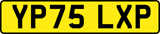 YP75LXP