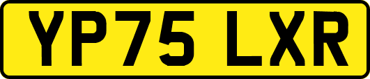 YP75LXR