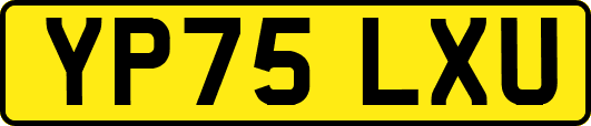 YP75LXU