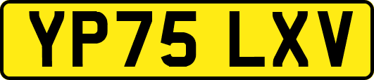 YP75LXV