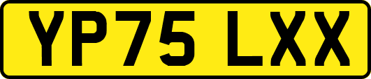 YP75LXX
