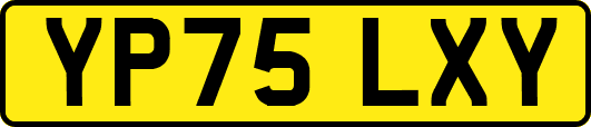 YP75LXY