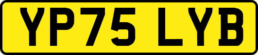 YP75LYB