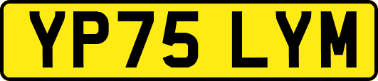 YP75LYM