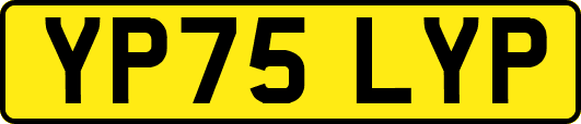 YP75LYP