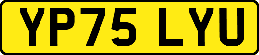 YP75LYU