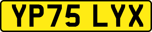YP75LYX