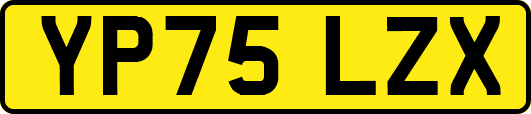 YP75LZX