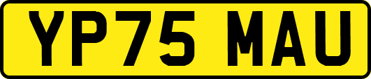 YP75MAU