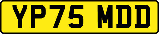YP75MDD