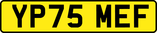 YP75MEF